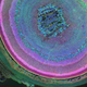 Illustration for article titled Feast your eyes on some of the best scientific art from the past year